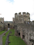 SX23344 Conwy Castle.jpg